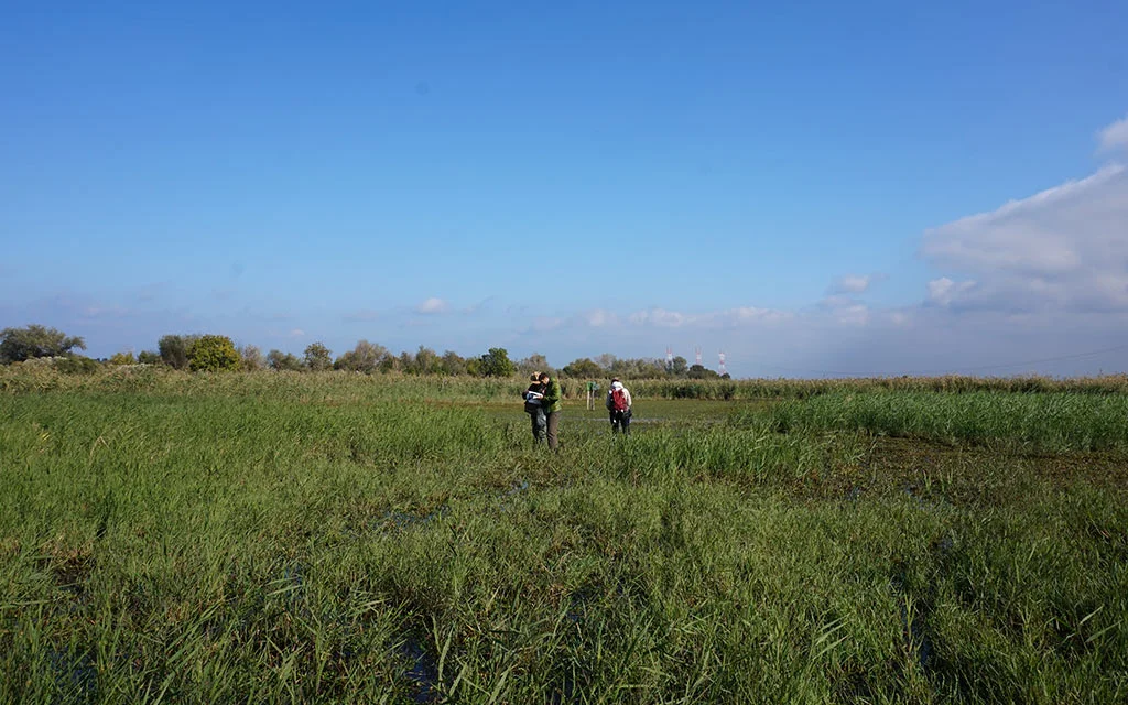 inventaires : relev&eacute;s de terrain naturalistes et paysagers