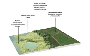 Bloc diagramme des rives