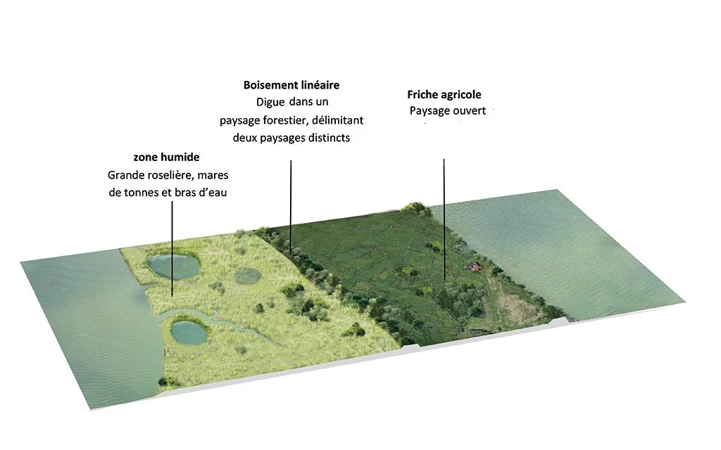 bloc-diagramme des rives