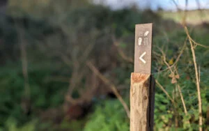 Signal&eacute;tique