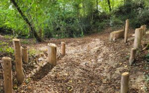 Brassempouy 14 SEN BRAS 04