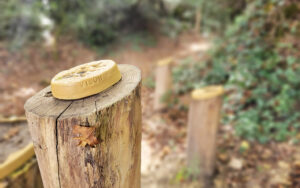 Brassempouy 15 SEN BRAS 05