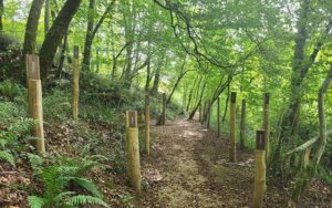 Brassempouy 13 SEN BRAS 07