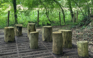 Brassempouy 17 SEN BRAS 09