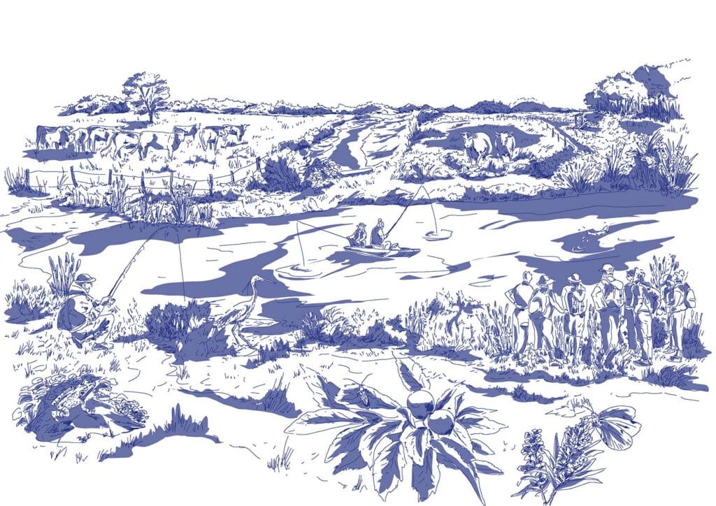 Illustration 4 Illustration 4