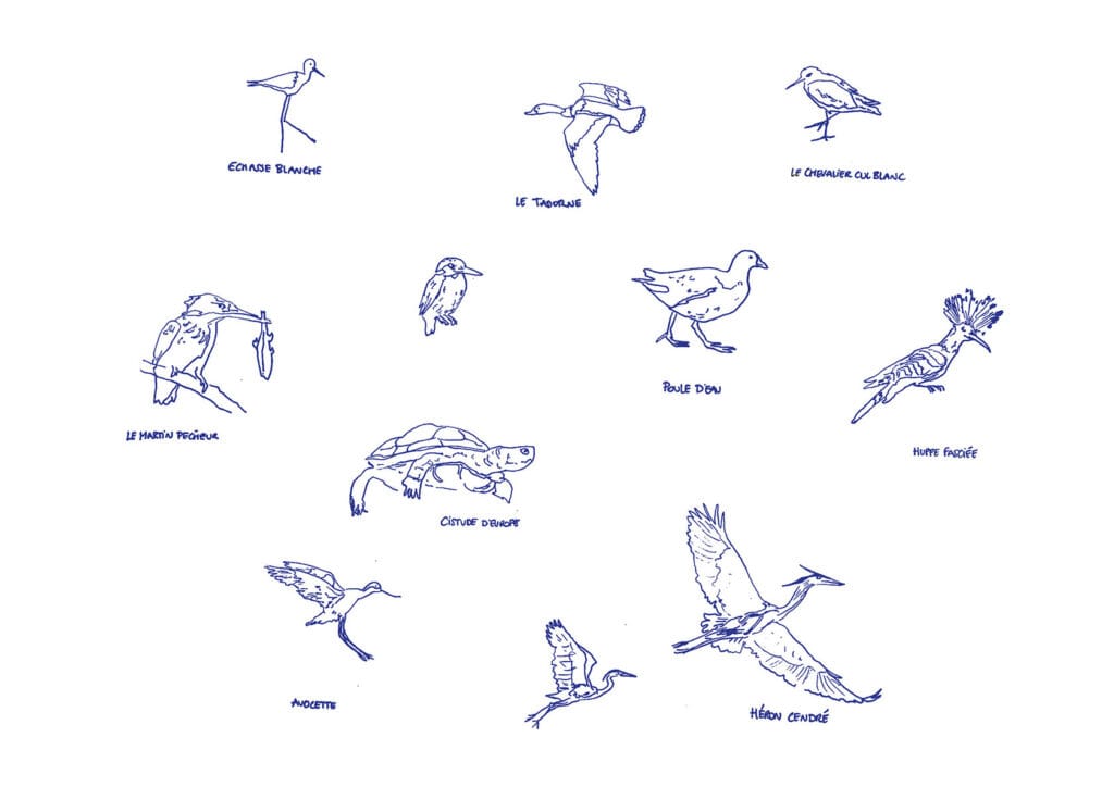 Faune locale Faune locale