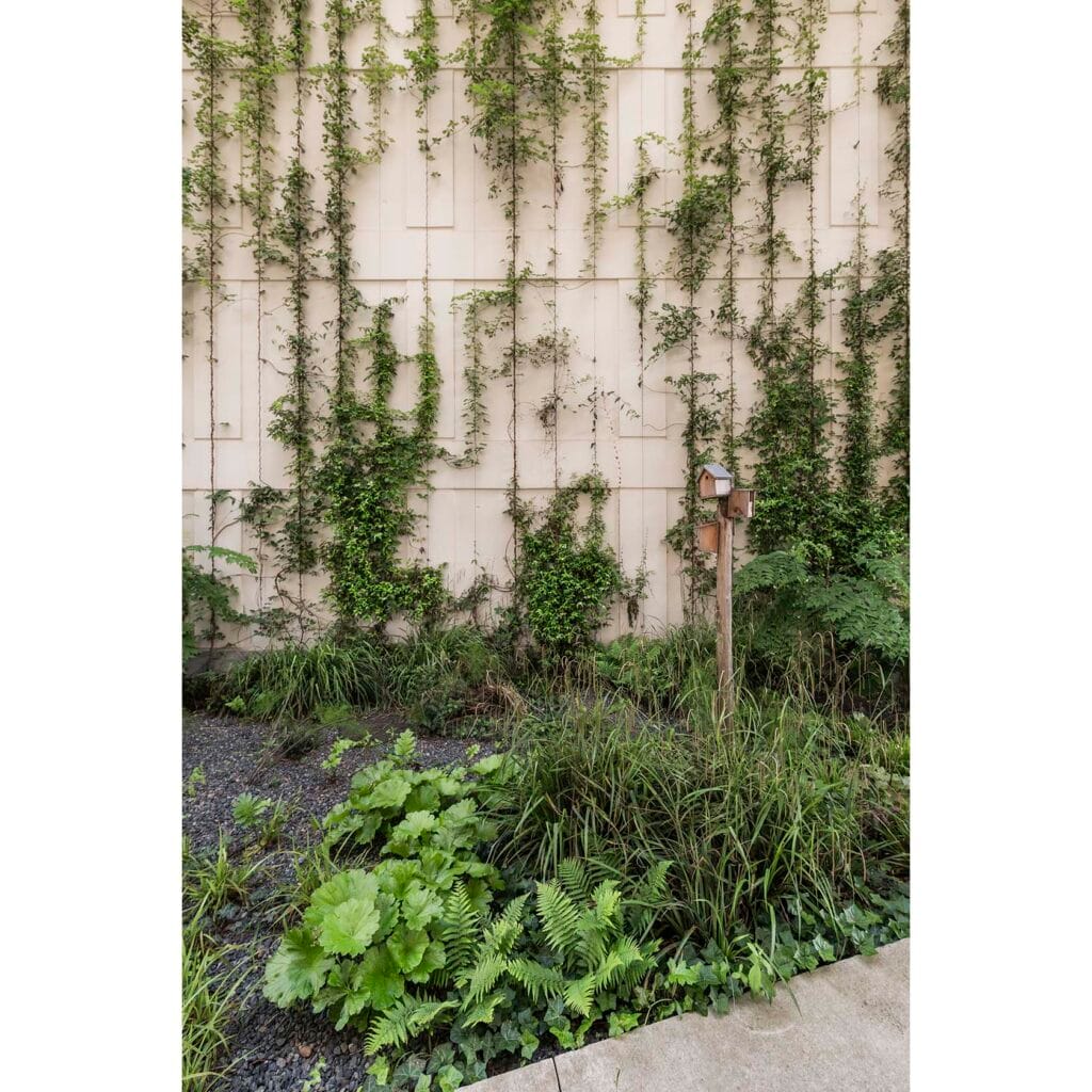 MG 9386B 1 copie copie