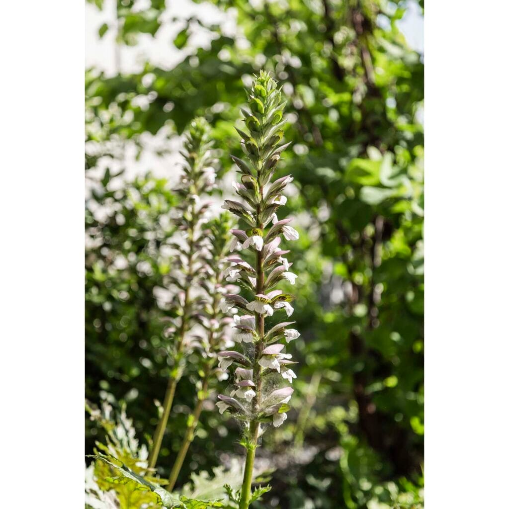 MG 9411B copie copie