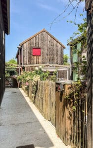 IMG 0986 copie copie