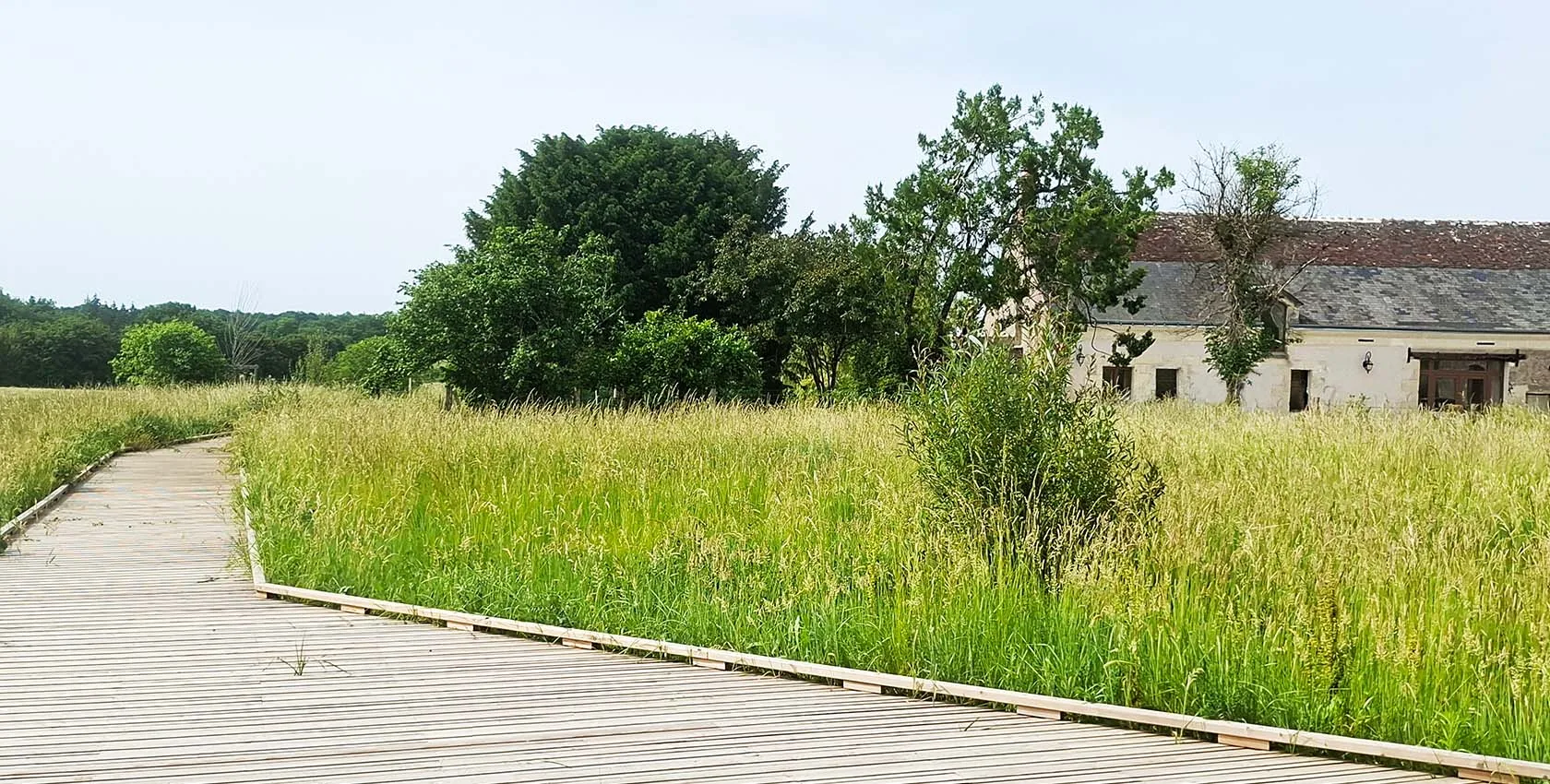 Ecoquartier de Luynes (37), Livraison 2026